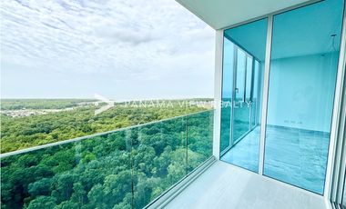 THE IVY / SANTA MARIA / VENTA
