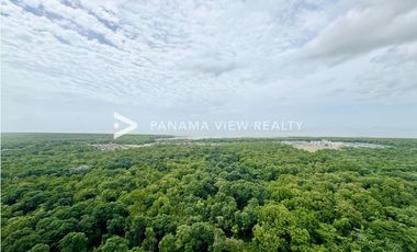 THE IVY / SANTA MARIA / VENTA