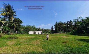 Tanah Siap Bangun Kulon Progo Jogja, Dekat Terminal Sentolo