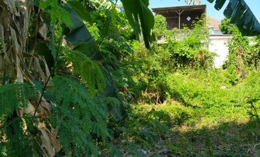 Disewakan Tanah Daerah Juanda Jl. Kyai Husein, Sedati, Sidoarjo 4600m2