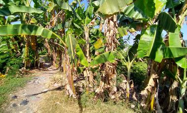 Disewakan Tanah Daerah Juanda Jl. Kyai Husein, Sedati, Sidoarjo 4600m2