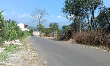 DIJUAL CEPAT!!! KEBUN JERUK DI DAU DEKAT BEDENGAN BENTUK KOTAK POROS JL ASPAL