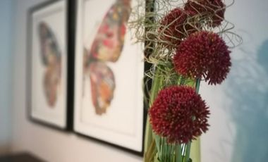 DEPARTAMENTO AMUEBLADO!!