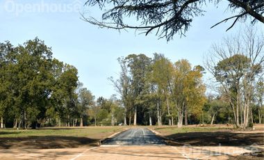 VENTA-LOTES EN BARRIO EL REMANSO-DEL VISO