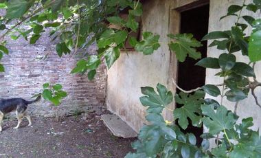 Casa - Claypole