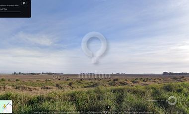 Campo en Ruta 226
