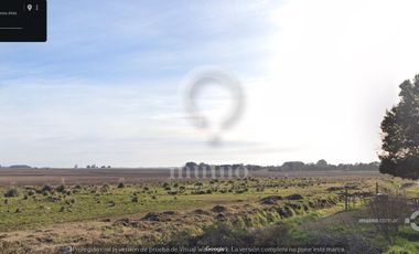 Campo en Ruta 226