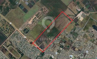 Campo en Ruta 226