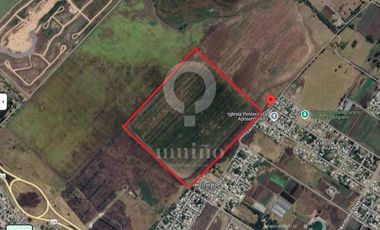 Campo en Ruta 226