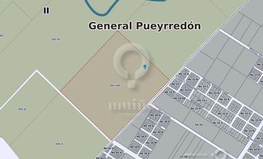 Campo en Ruta 226