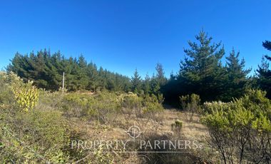 Puertecillo, Terreno en Loteo Residencial