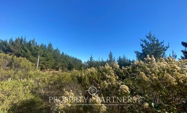 Puertecillo, Terreno en Loteo Residencial