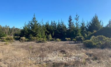 Puertecillo, Terreno en Loteo Residencial