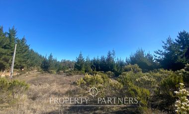 Puertecillo, Terreno en Loteo Residencial