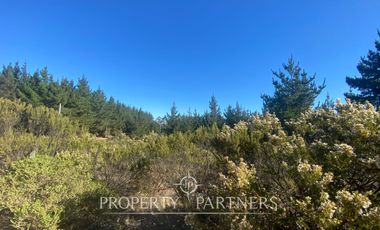 Puertecillo, Terreno en Loteo Residencial