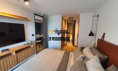 DEPARTAMENTO NUEVO 2D-2B PROVIDENCIA SECTOR METRO LOS LEONES