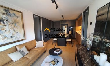 DEPARTAMENTO NUEVO 2D-2B PROVIDENCIA SECTOR METRO LOS LEONES