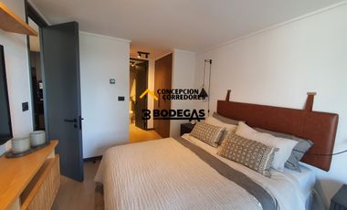 DEPARTAMENTO NUEVO 2D-2B PROVIDENCIA SECTOR METRO LOS LEONES