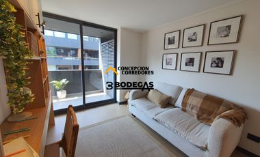 DEPARTAMENTO NUEVO 2D-2B PROVIDENCIA SECTOR METRO LOS LEONES