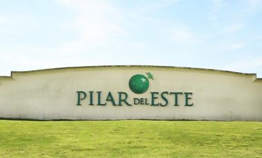 Excelente  lote interno  en Barrio San Ramon, Pilar del Este
