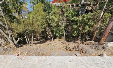 Terreno En Zona Romántica