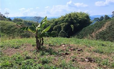 LOTES PARA LA VENTA EN PALESTINA