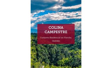 CASAS CASPESTRES ES FILANDIA