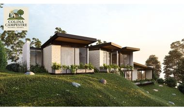 CASAS CASPESTRES ES FILANDIA