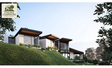 CASAS CASPESTRES ES FILANDIA