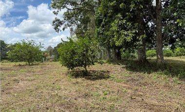 VENDO ESPECTACULAR FINCA EN QUIMBAYA