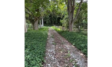 VENDO ESPECTACULAR FINCA EN QUIMBAYA