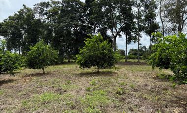 VENDO ESPECTACULAR FINCA EN QUIMBAYA