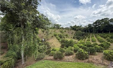 VENDO ESPECTACULAR FINCA EN QUIMBAYA