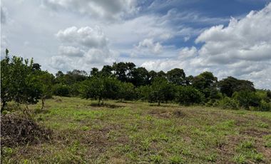 VENDO ESPECTACULAR FINCA EN QUIMBAYA