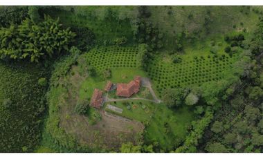 VENDO ESPECTACULAR FINCA EN QUIMBAYA