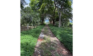 VENDO ESPECTACULAR FINCA EN QUIMBAYA