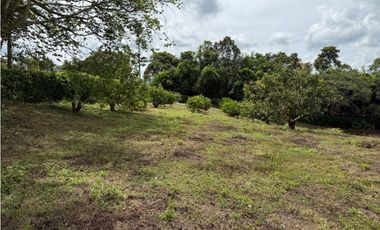 VENDO ESPECTACULAR FINCA EN QUIMBAYA