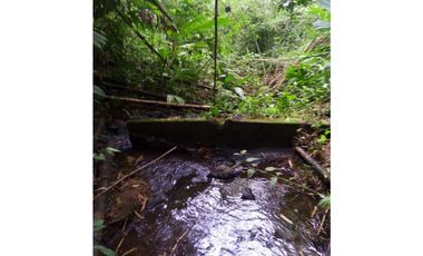 VENDO ESPECTACULAR FINCA EN QUIMBAYA