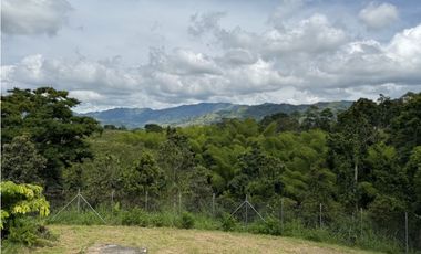 VENDO ESPECTACULAR FINCA EN QUIMBAYA