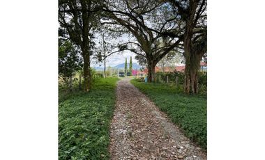 VENDO ESPECTACULAR FINCA EN QUIMBAYA