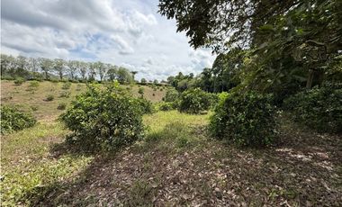 VENDO ESPECTACULAR FINCA EN QUIMBAYA