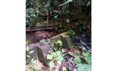 VENDO ESPECTACULAR FINCA EN QUIMBAYA