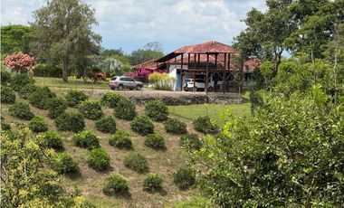 VENDO ESPECTACULAR FINCA EN QUIMBAYA