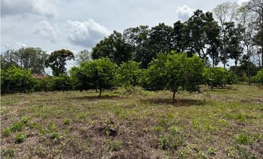VENDO ESPECTACULAR FINCA EN QUIMBAYA