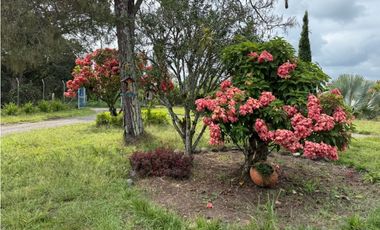 VENDO ESPECTACULAR FINCA EN QUIMBAYA