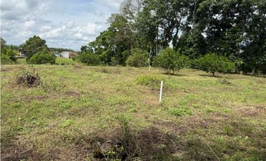 VENDO ESPECTACULAR FINCA EN QUIMBAYA