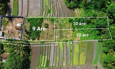 LAHAN LUAS DEKAT PANTAI GILI TRAWANGAN LOMBOK