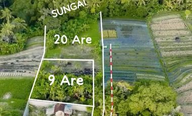 LAHAN LUAS DEKAT PANTAI GILI TRAWANGAN LOMBOK