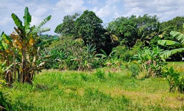 LAHAN LUAS DEKAT PANTAI GILI TRAWANGAN LOMBOK