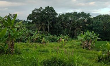 LAHAN LUAS DEKAT PANTAI GILI TRAWANGAN LOMBOK